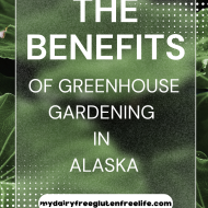 Benefits of Greenhouse Gardening in Alaska
