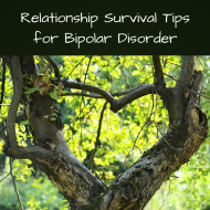 Relationship Survival Tips for Bipolar Disorder