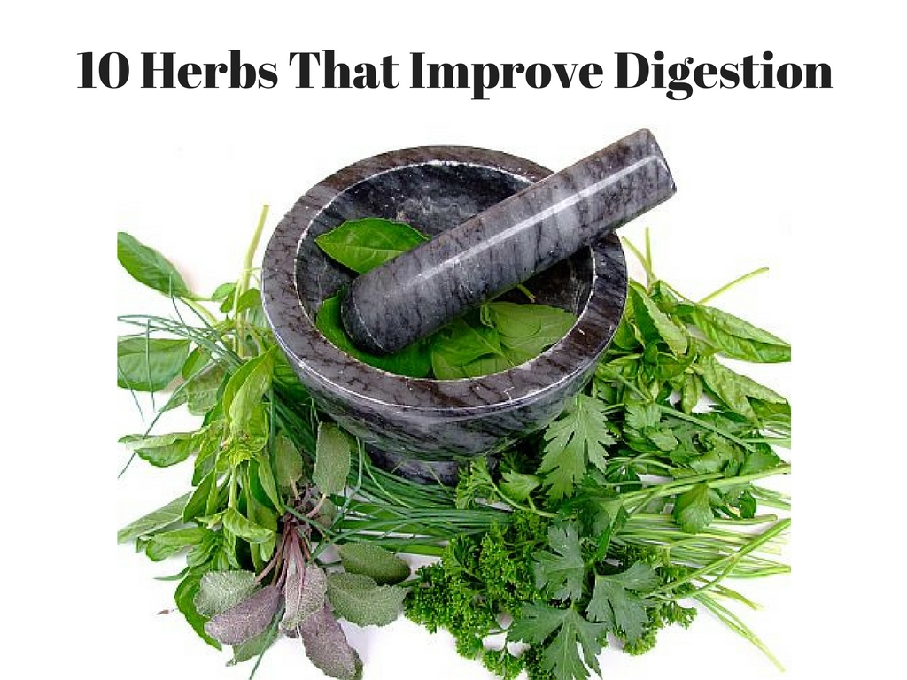 10 Herbs That Improve Digestion