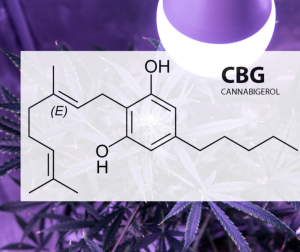 CBG Molecule
